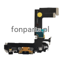 ip13mini.png