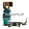 iphse2020.png